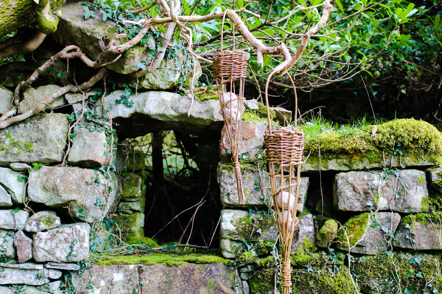 Castle Coole Willow Bird Feeder / basket workshop, 22nd February 2025.