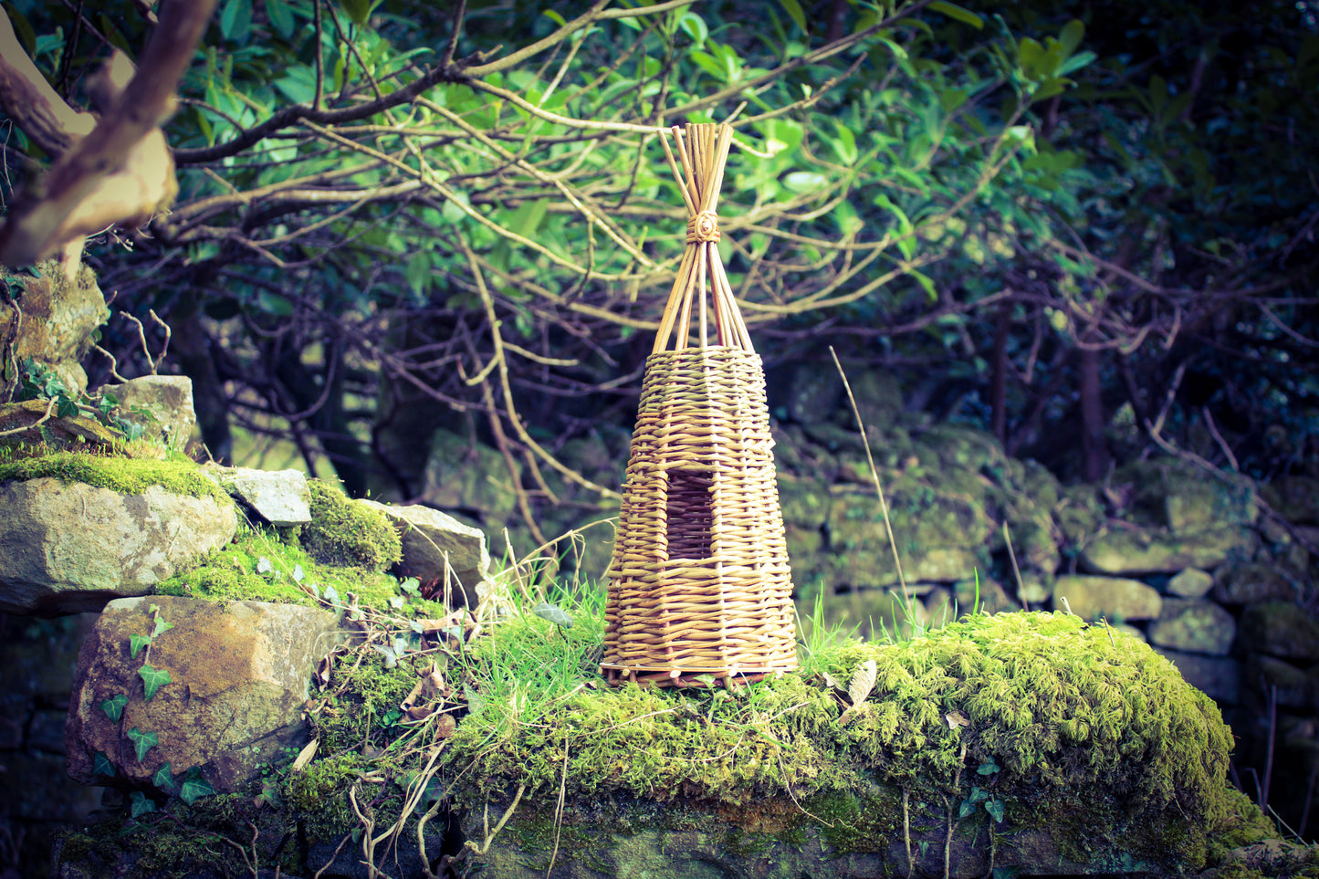 Willow Bird house / Fairy house workshop, 29th March 2025.