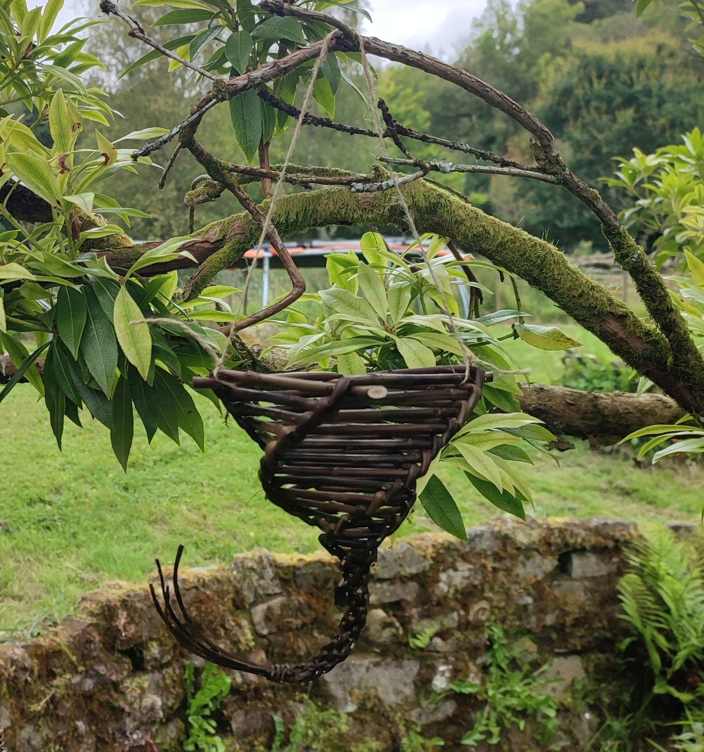 Castle Coole Willow Bird Feeder / basket workshop, 22nd February 2025.